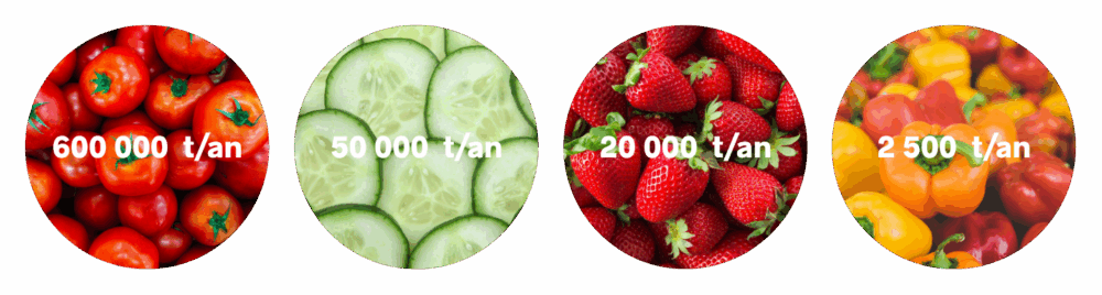 Serres maraîchères en France