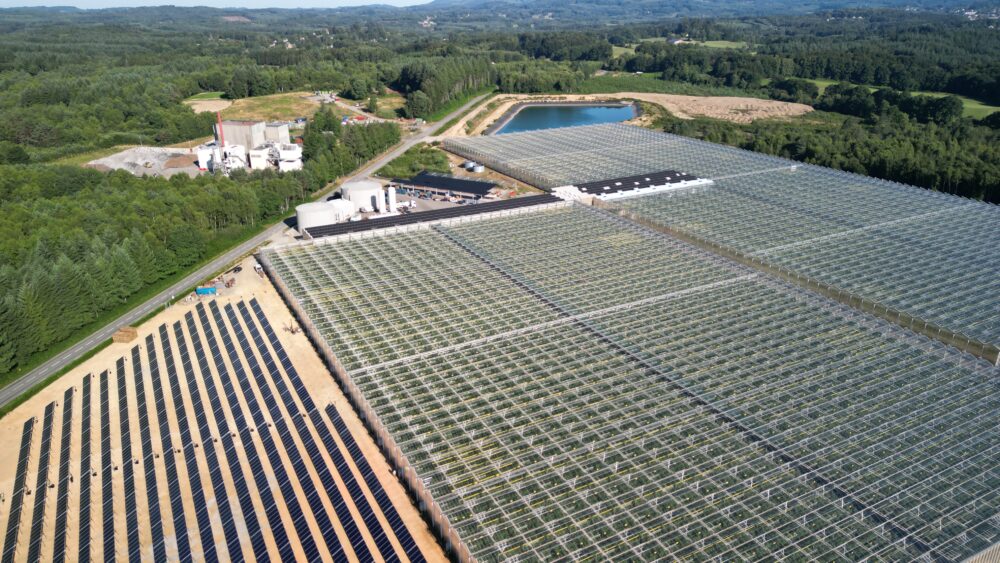 Serres maraichères Les Tomates d'Auitou alimentées par une centrale solaire thermique