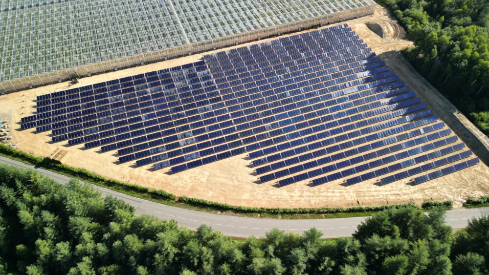 Champ de capteurs solaires thermiques pour les serres maraichères Les Tomates d'Auitou