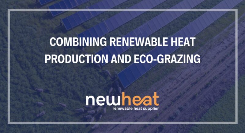 ECO GRAZING NEWHEAT PLANT