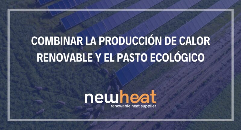 ECO PASTO CENTRAL NEWHEAT