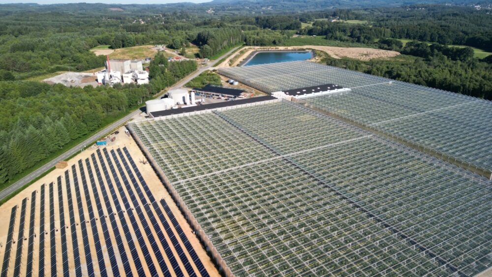 Newheat solar thermal plant for tomato heated greenhouses