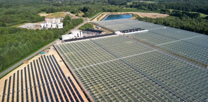 Newheat solar thermal plant for tomato heated greenhouses